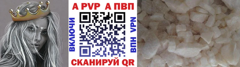 дарнет шоп  Шагонар  omg ССЫЛКА  A PVP крисы CK 
