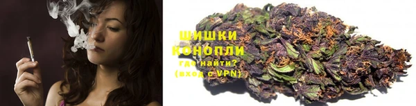 гашик Белоозёрский