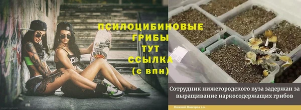 гашик Белоозёрский