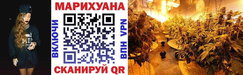 Марихуана сатива  Шагонар 